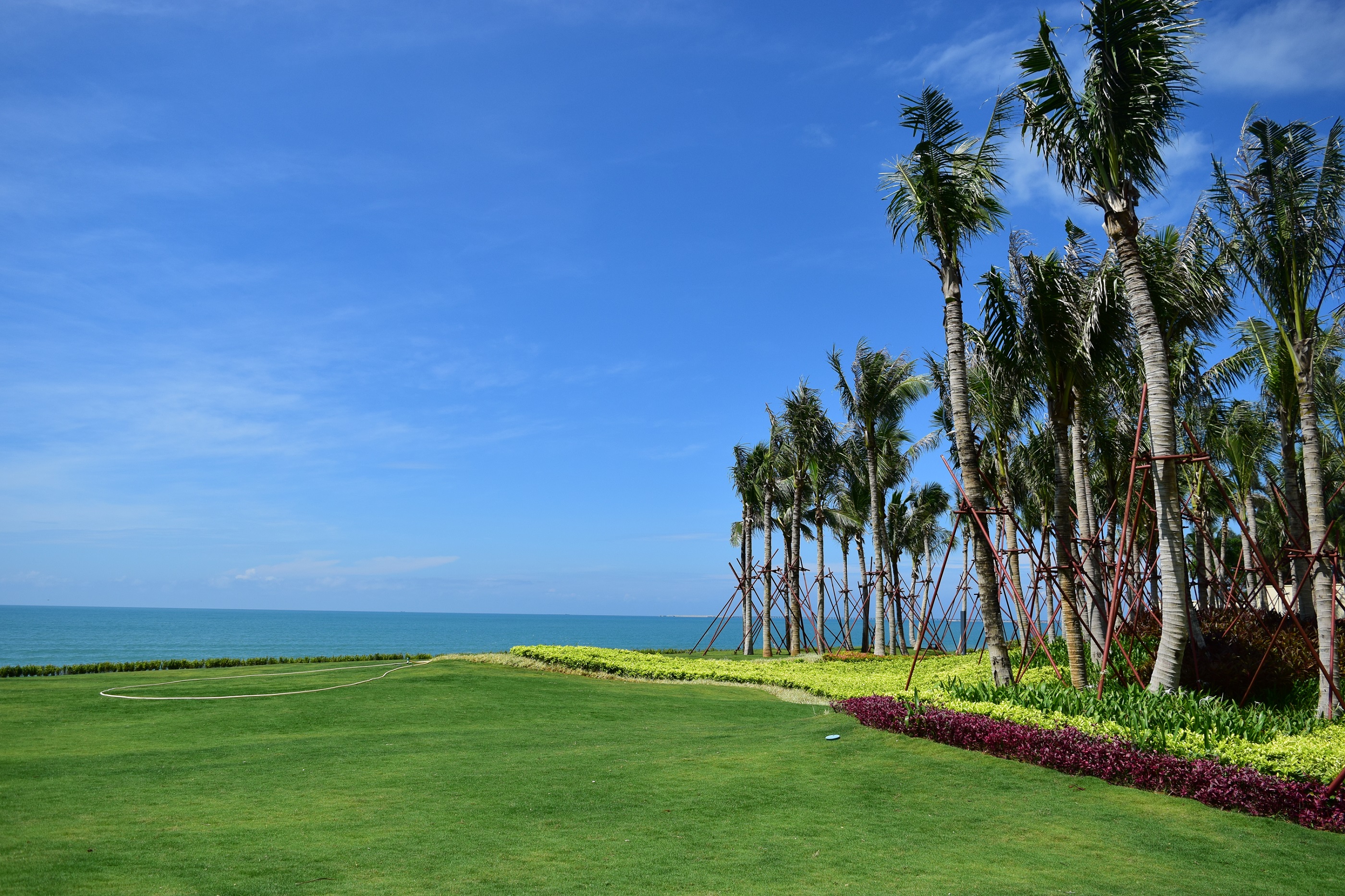 151936643583554822AE.jpg 8 (6).JPG